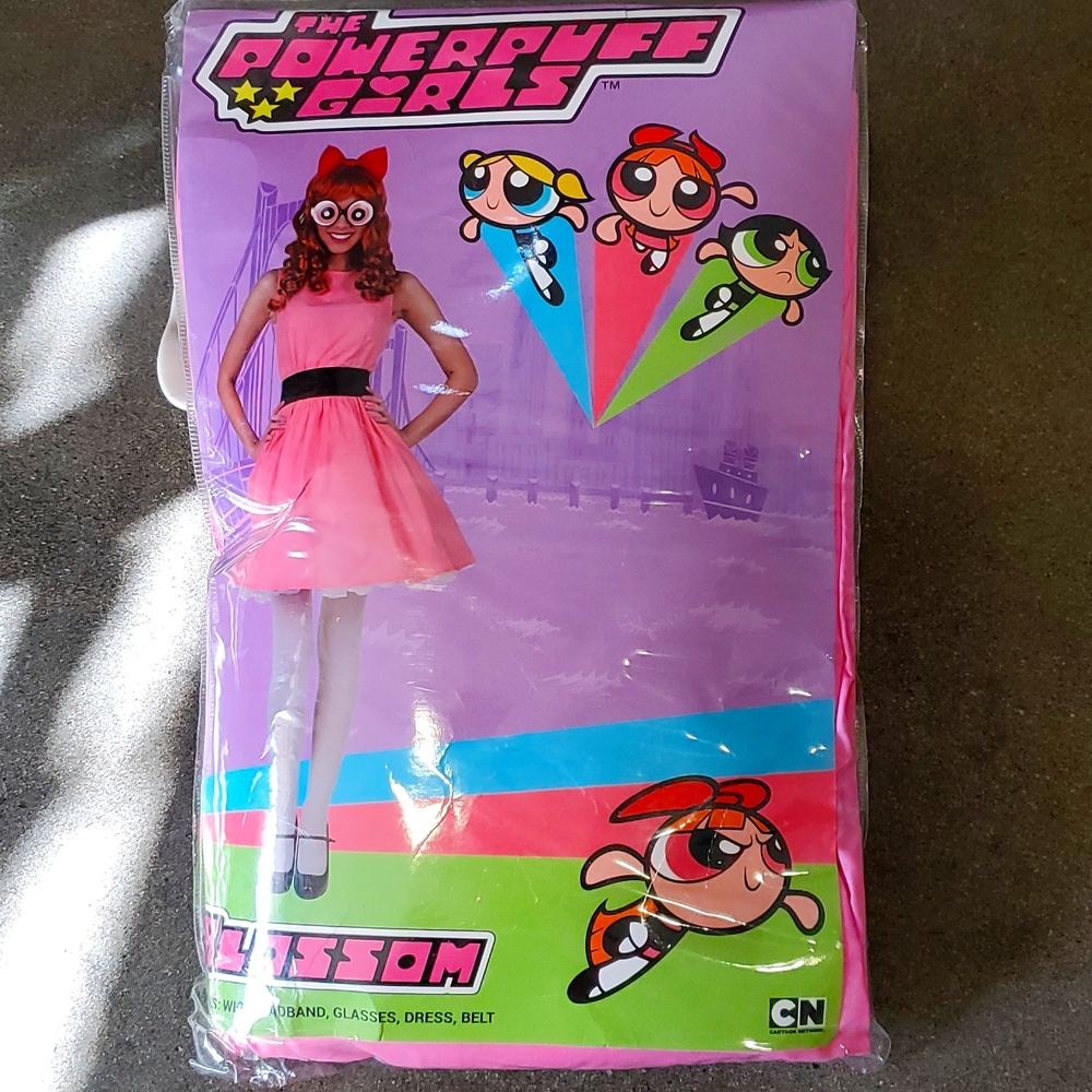 Powerpuff Girls Blossom